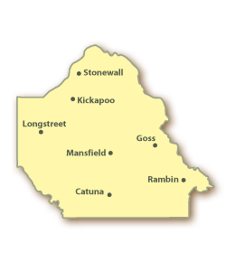De Soto County Map