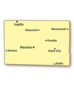 Newton County Map