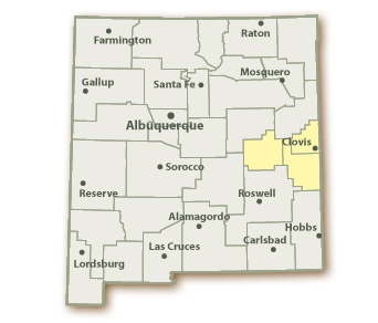 New Mexico Map