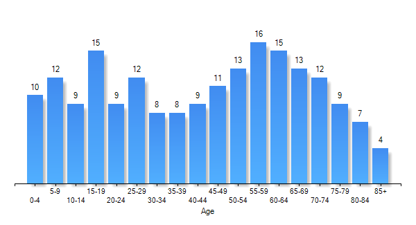 Queenstown, MD Workforce